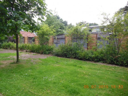 Vanaf het bospad, krijgen veel complimenten