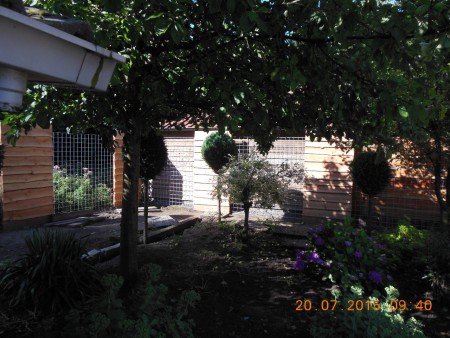 Tevreden met het eind resultaat nu nog de lampen en de planten