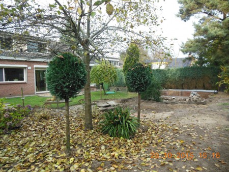 Helaas afval bak was vol, jongens moesten het werk staken, maar wat een ruimte al