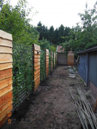 Planten en de verlichting aangelegd