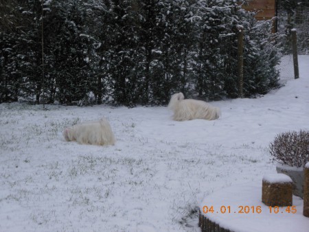 Ook voor Quenda wat een feest